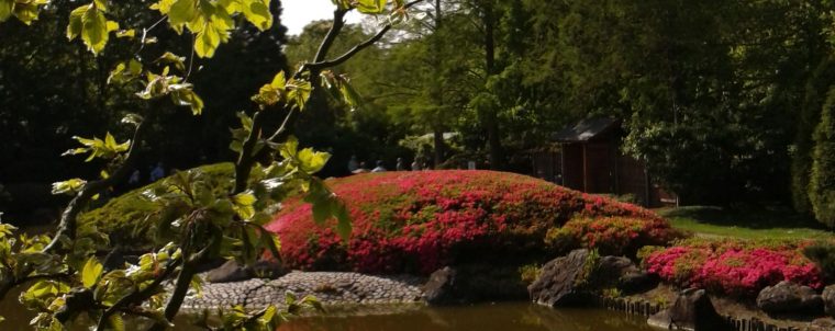 Japanischer Garten Bonn