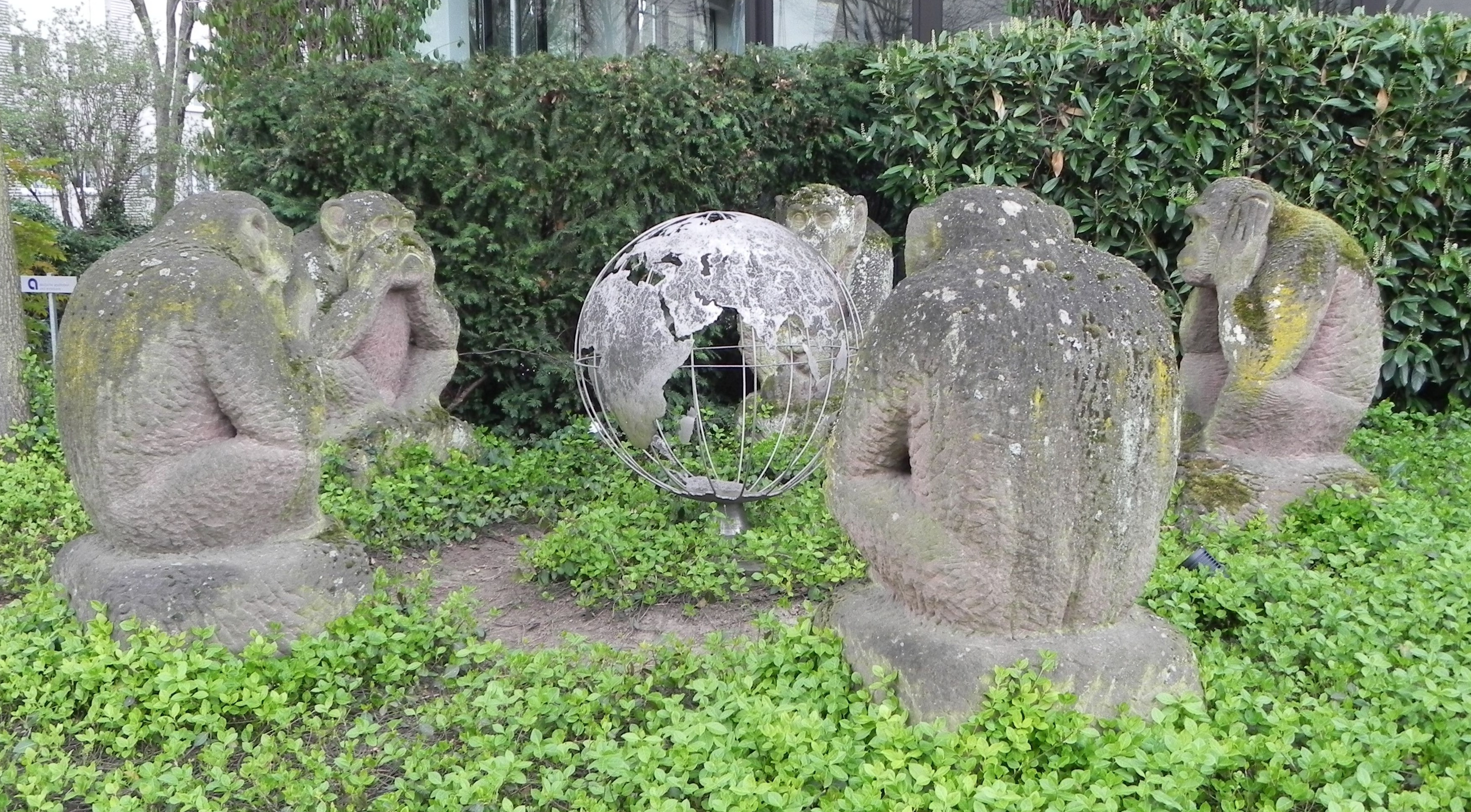Affen im Kreis
