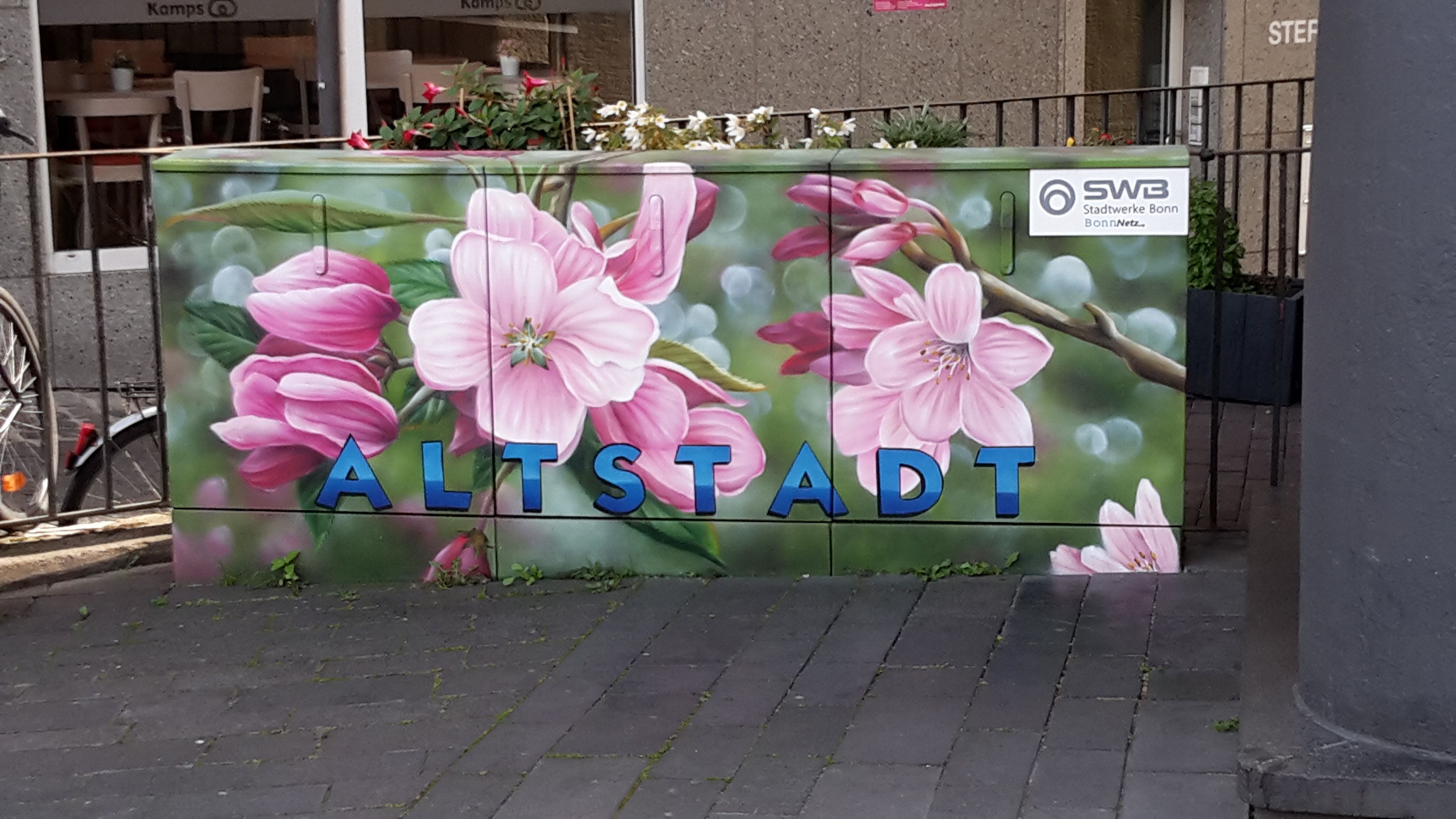 Kirschblüte einmal anders